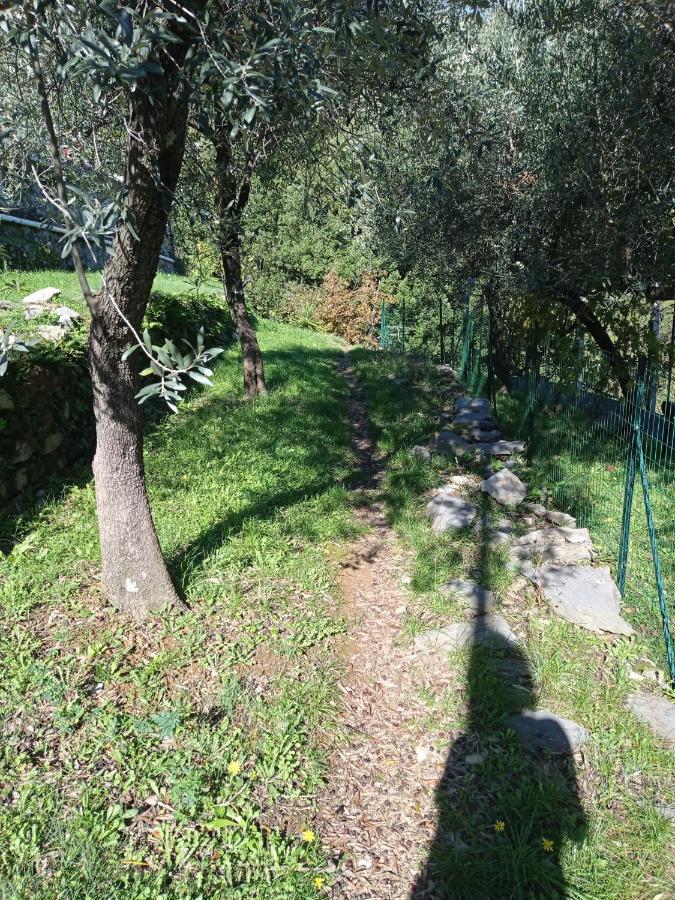 Le Vigne Di Lenf Leilighet Porto Venere Eksteriør bilde